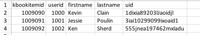 Example of the SSO Identifier File