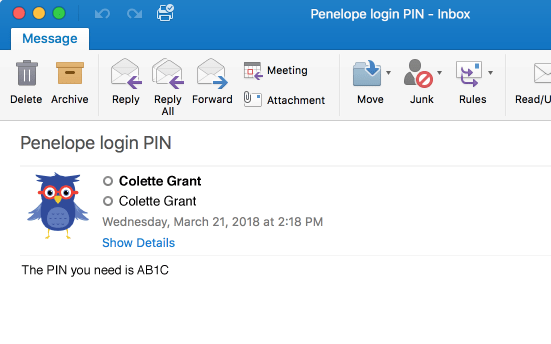 Example of a Verification Code sent via email